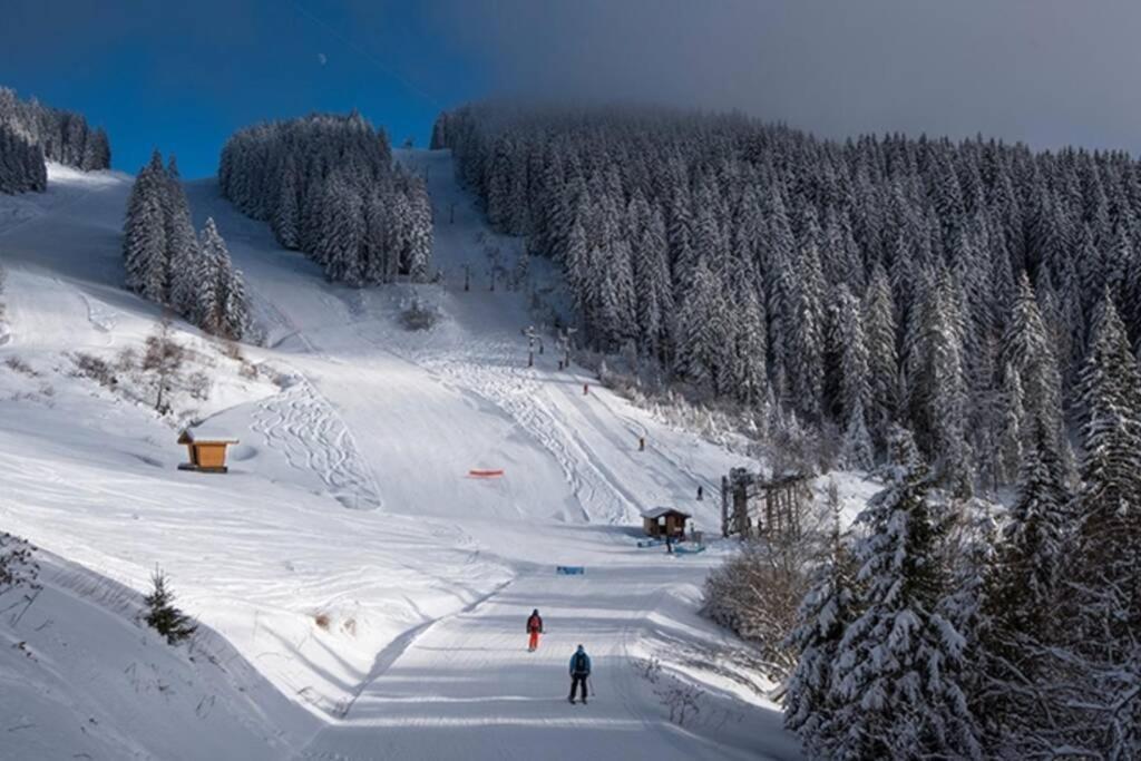 Le Relai S31 - Grand Et Lumineux Studio Avec Coin Montagne 4-6 Pers, Tout Equipe, Avec Wifi, A 30M Des Pistes Avec Un Grand Balcon, Draps Non Compris Saint-Jean-dʼAulps Exteriér fotografie